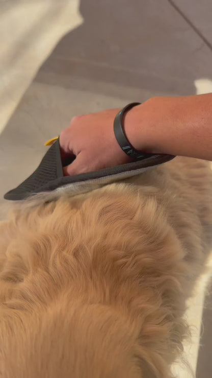 AlphaTail™ FurErase Elite -  Love your pet . Not the hair ❤️
